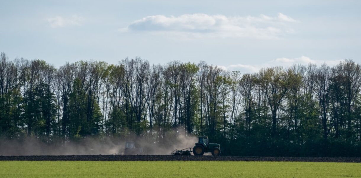 В Україні стартувала сівба гречки