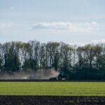 В Україні стартувала сівба гречки