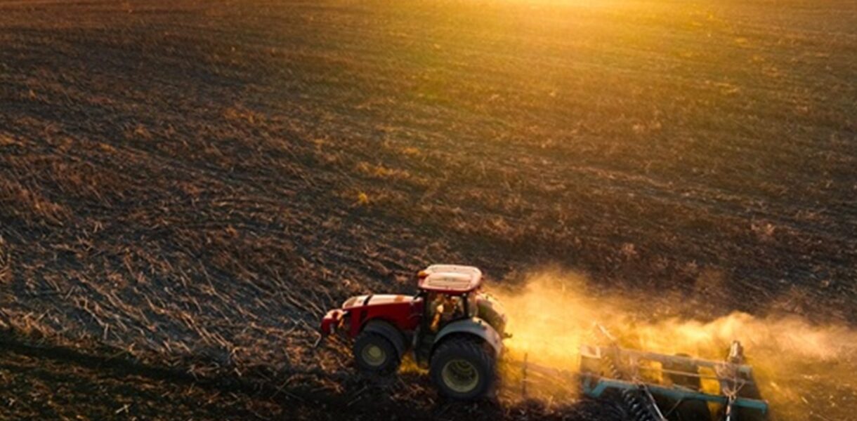 Україна нині засіяла 87% ярих зернових та зернобобових від плану