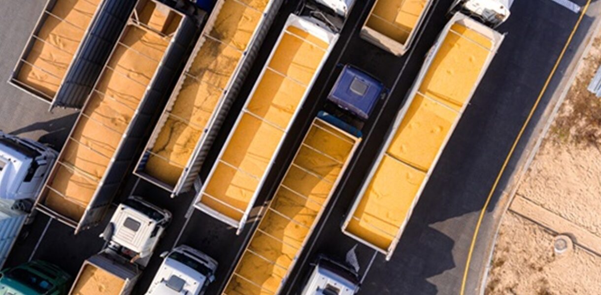 ЄС оприлюднив квоти на агропродукцію з України
