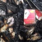 Внаслідок обстрілу Києва знищено офіс і склад видавництва «Український пріоритет»