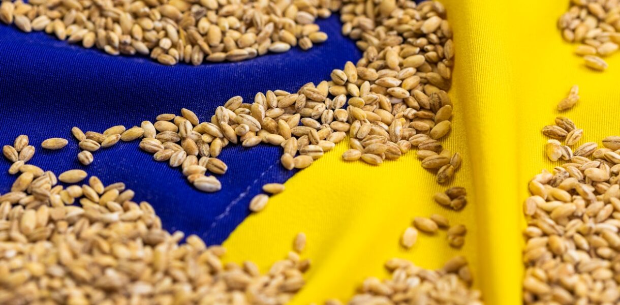 Став відомий найбільший імпортер агропродукції України серед країн ЄС