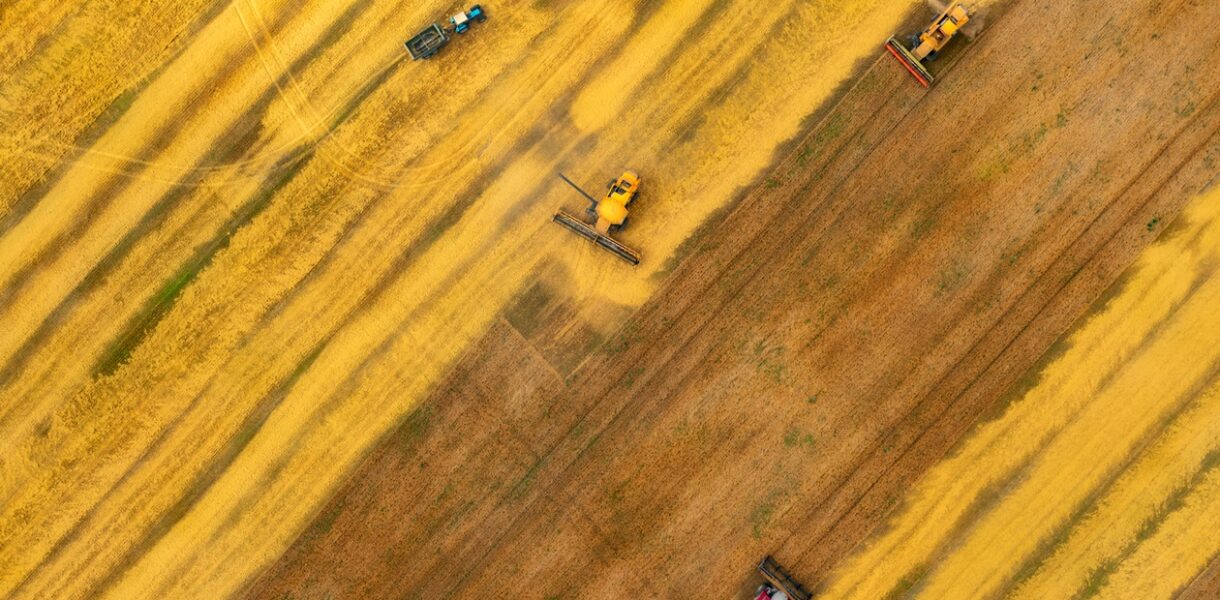 Аграрії наблизилися до збору першого мільйона тонн зерна