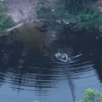 ЗСУ зірвали спробу наступу росіян на Донеччині