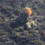 Бійці ГУР ліквідували сина російського генерала