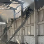 Рятувальники ліквідували масштабну пожежу на території кінного клубу