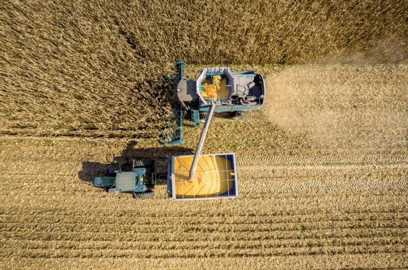 В Україні обмолочено 73% зернових площ