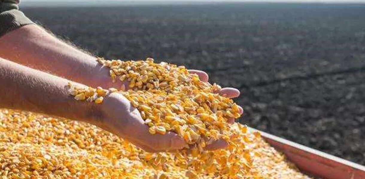 Україна наростила експорт агропродукції