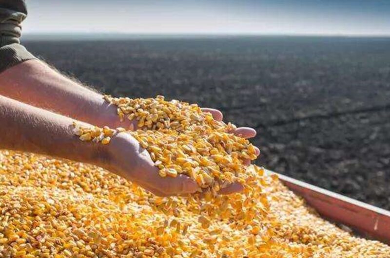 Україна наростила експорт агропродукції