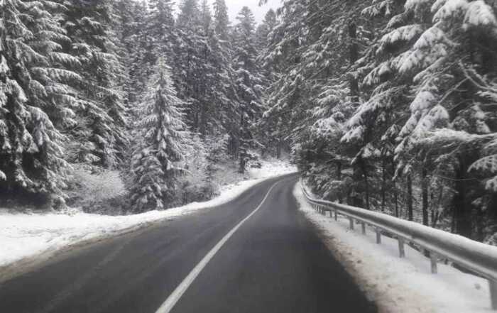 Дорога до курорту Палиці за 6,6 мільярда не пройшла: тендер згорнули після розголосу в медіа