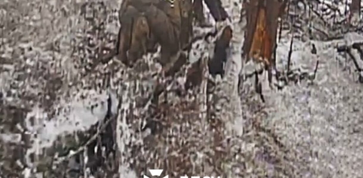 Сталевий кордон показав бойову роботу на Курському напрямку