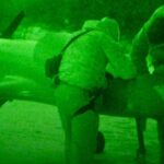 ЗСУ уразили російську ППО та склад дронів