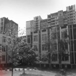 Фірма, яку підозрюють у привласненні бюджетних грошей, торік виграла підрядів на понад 180 мільйонів гривень