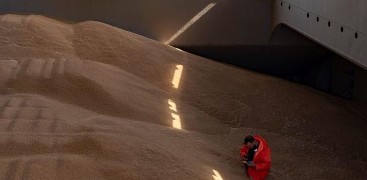 Польща пожалілася в Раду ЄС на агроімпорт з України - ЗМІ