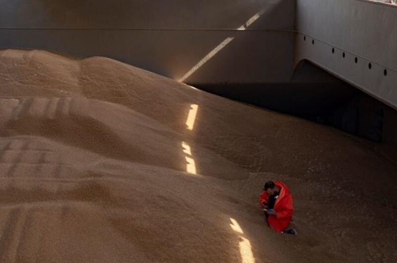 Польща пожалілася в Раду ЄС на агроімпорт з України - ЗМІ