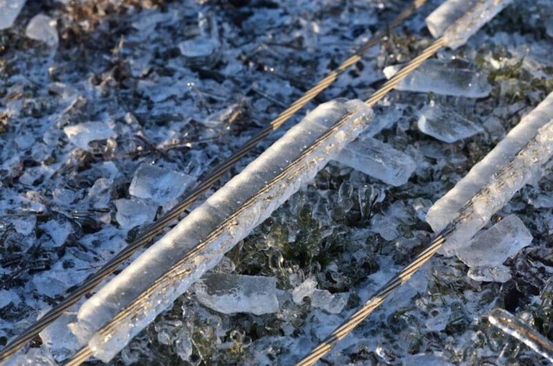 На Одещині масові пошкодження електромереж через негоду