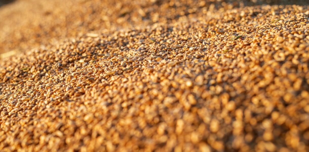 Україна скоротила експорт агропродукції у січні