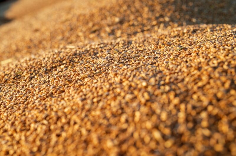 Україна скоротила експорт агропродукції у січні