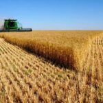 Грабунок під виглядом “націоналізації”: як окупанти нищать фермерство Запоріжжя