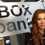 Financial empire, money-laundering scandals, and internet “scrubbing”: how Alyona Shevtsova’s business grew in parallel with her law-enforcement husband’s career