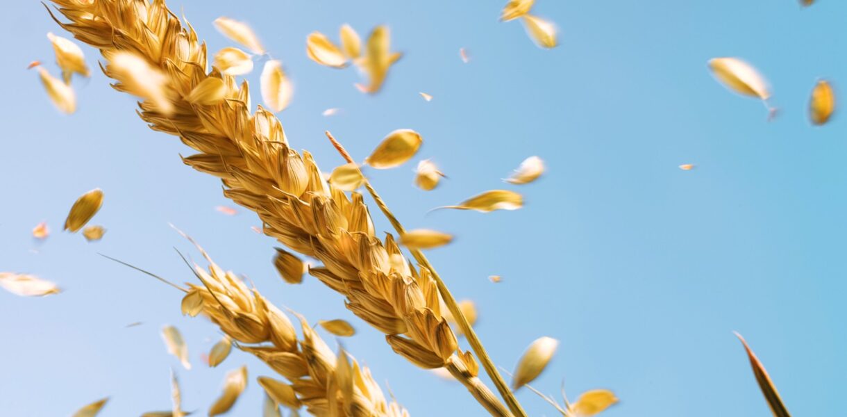 Війна в Ірані розганяє ціни на продовольство