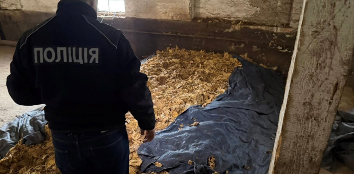 Викрито схему повного циклу виробництва нелегального тютюну на Закарпатті