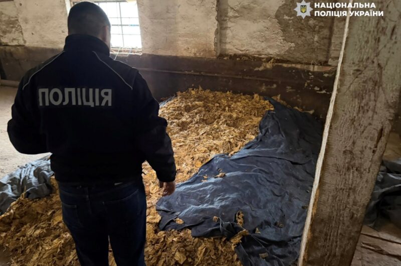 Викрито схему повного циклу виробництва нелегального тютюну на Закарпатті