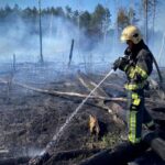 На Чернігівщині палають тисячі гектарів лісу