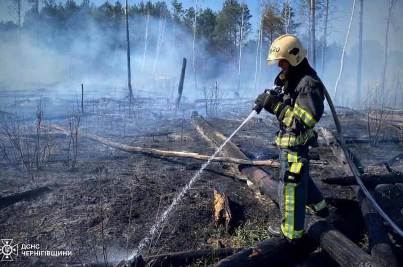 На Чернігівщині палають тисячі гектарів лісу