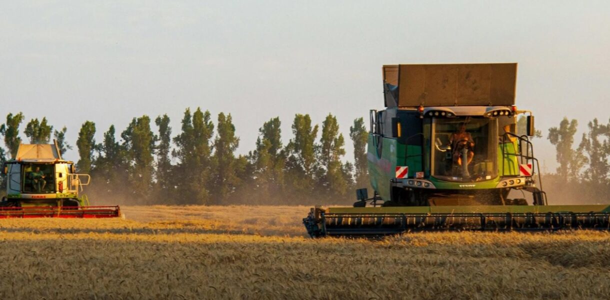 Україна наростила експорт зерна на понад 50%