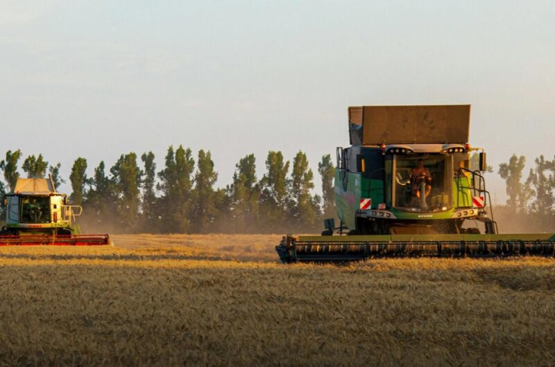 Україна наростила експорт зерна на понад 50%