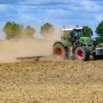 У Чехії прогнозують найгірший за 14 років урожай зерна