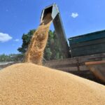 Аграрії України отримають засоби для зберігання врожаю