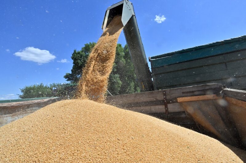Аграрії України отримають засоби для зберігання врожаю