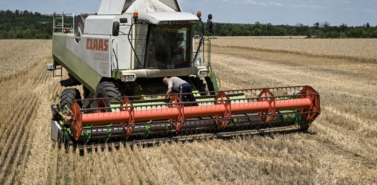 Україна намолотила 33 млн тонн зерна: які культури вже зібрали