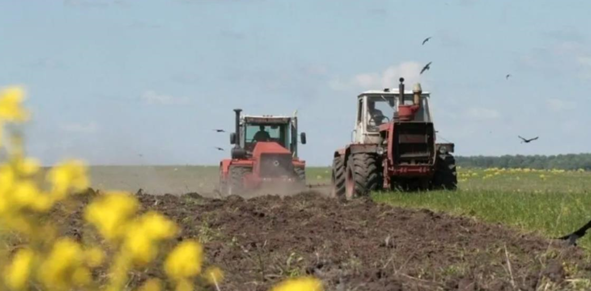 В Україні озимими зерновими засіяли понад 740 тис. га