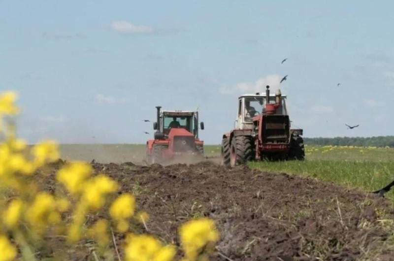 В Україні озимими зерновими засіяли понад 740 тис. га