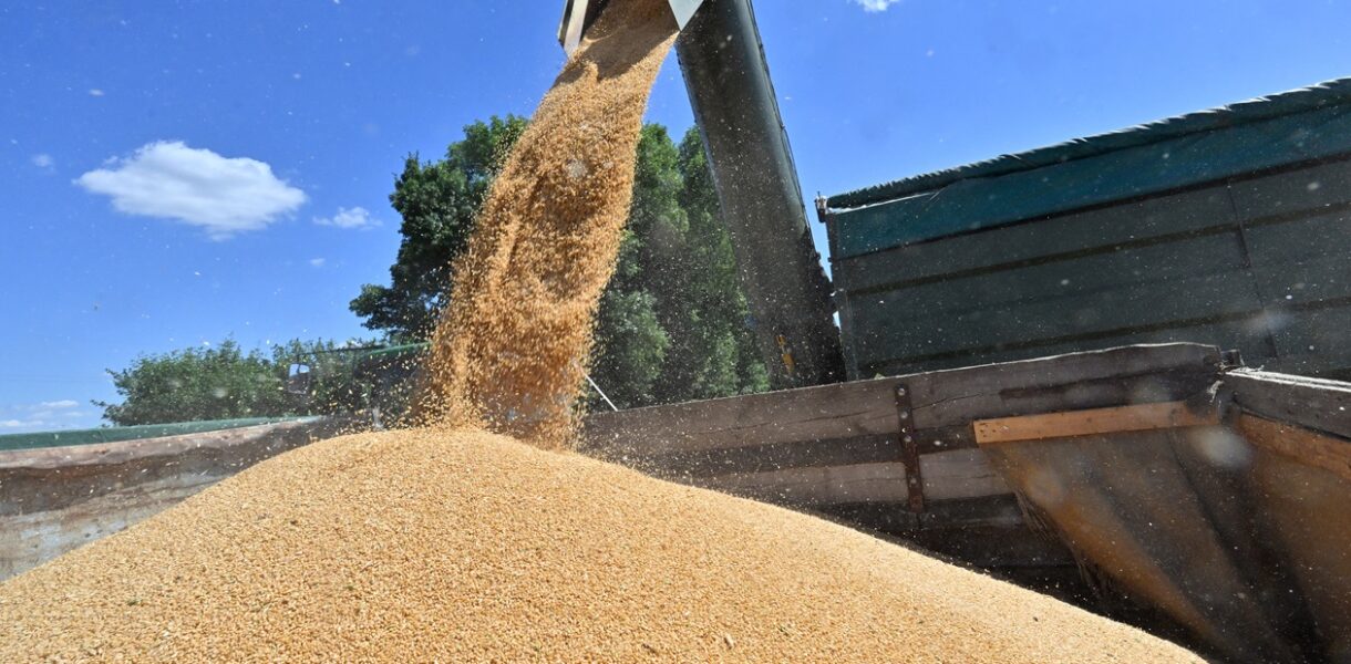 Ціни на пшеницю зростають через загрозу ударів РФ по Україні