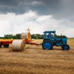 Урожай зернових та олійних в Україні перевищив 50 млн тонн