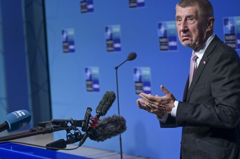 Бабіш назвав катастрофічним для свого руху результат виборів у Сенат